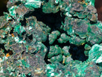 Natural Large 15 cm Velvet Rosette Malachite Specimen x 1 From Kasompe, Congo