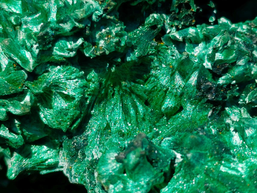 Natural Large 15 cm Velvet Rosette Malachite Specimen x 1 From Kasompe, Congo