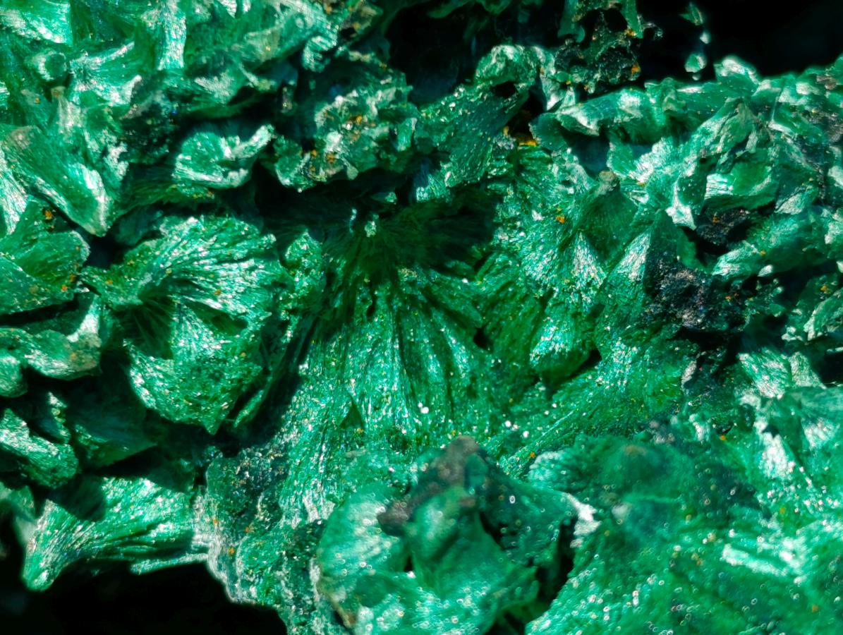 Natural Large 15 cm Velvet Rosette Malachite Specimen x 1 From Kasompe, Congo