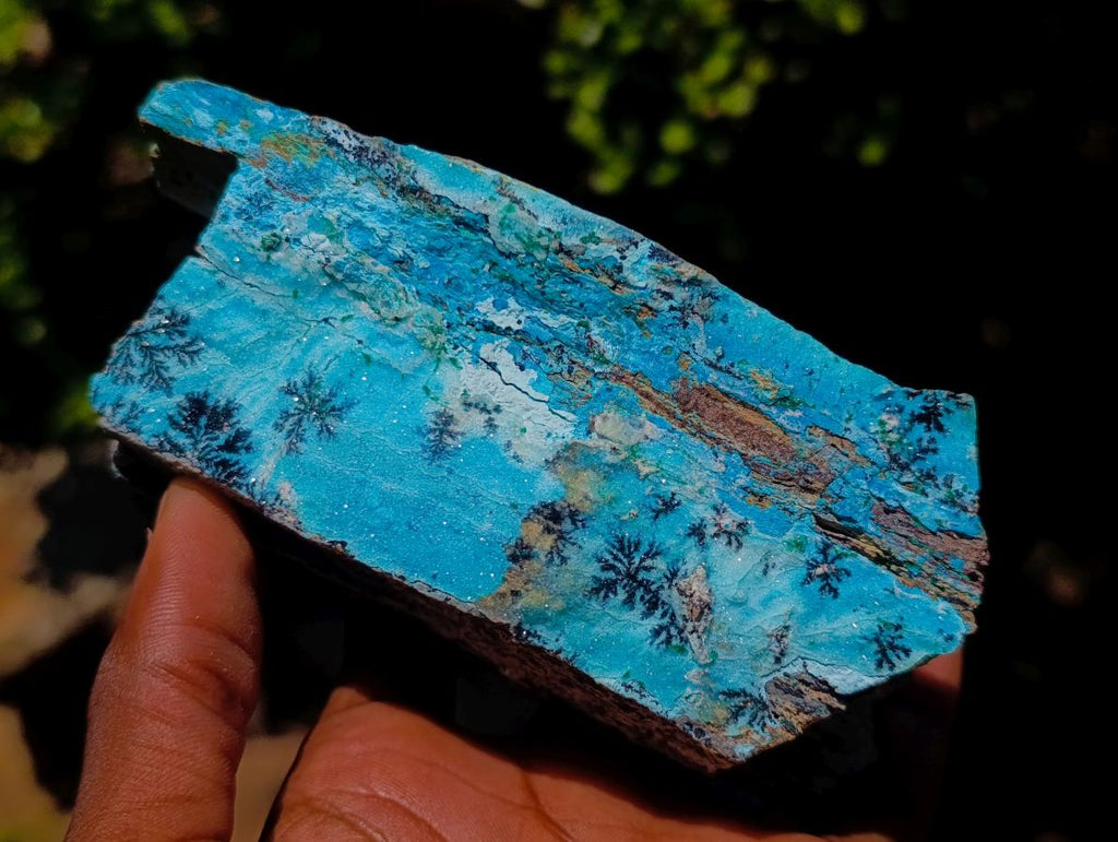 Natural Striking Black Heterogenite Dendrites on Drusy Coated Chrysocolla x 1 From Lupoto Mine, Congo