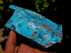 Natural Striking Black Heterogenite Dendrites on Drusy Coated Chrysocolla x 1 From Lupoto Mine, Congo
