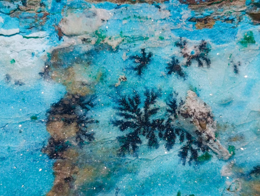 Natural Striking Black Heterogenite Dendrites on Drusy Coated Chrysocolla x 1 From Lupoto Mine, Congo