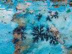 Natural Striking Black Heterogenite Dendrites on Drusy Coated Chrysocolla x 1 From Lupoto Mine, Congo