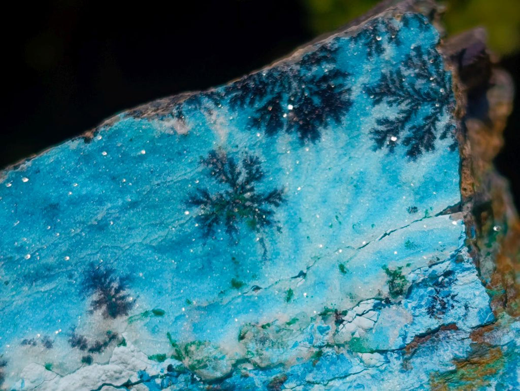 Natural Striking Black Heterogenite Dendrites on Drusy Coated Chrysocolla x 1 From Lupoto Mine, Congo