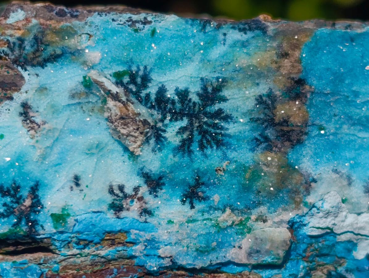 Natural Striking Black Heterogenite Dendrites on Drusy Coated Chrysocolla x 1 From Lupoto Mine, Congo