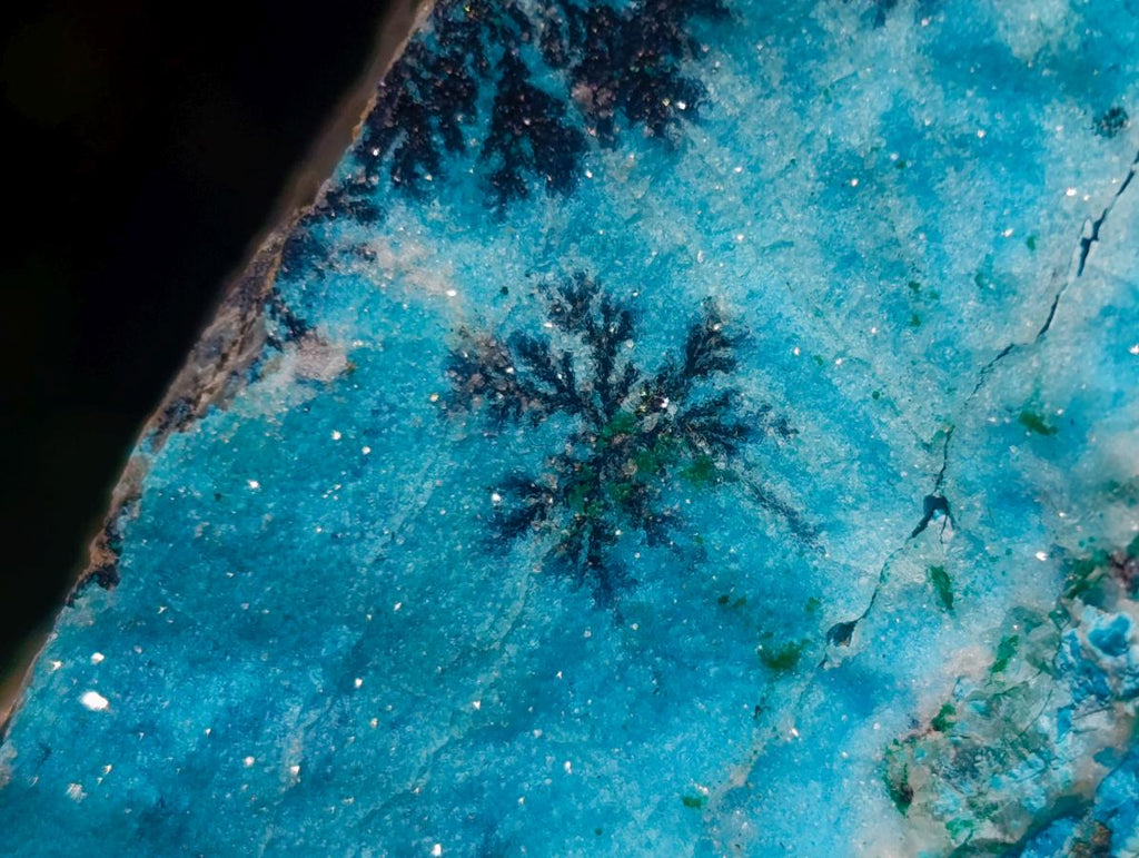 Natural Striking Black Heterogenite Dendrites on Drusy Coated Chrysocolla x 1 From Lupoto Mine, Congo