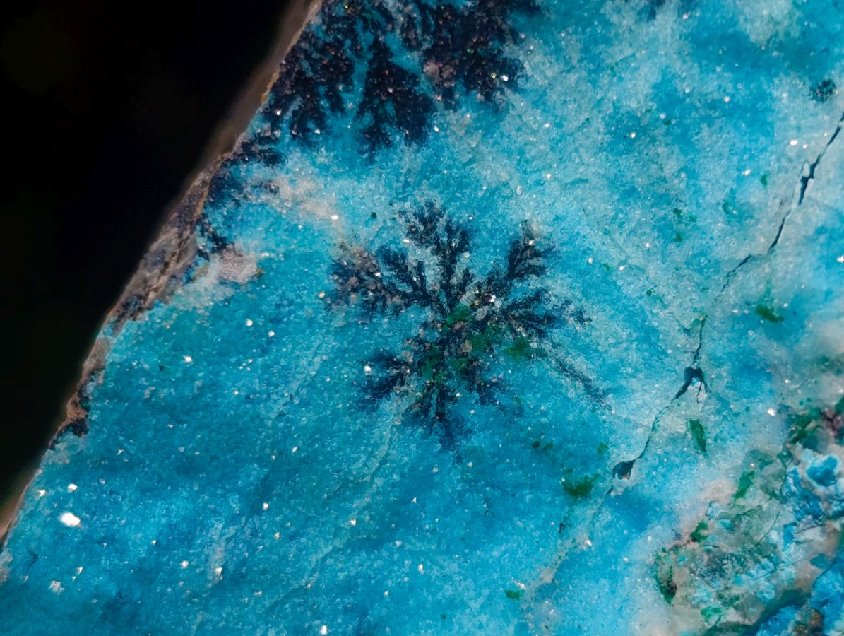 Natural Striking Black Heterogenite Dendrites on Drusy Coated Chrysocolla x 1 From Lupoto Mine, Congo