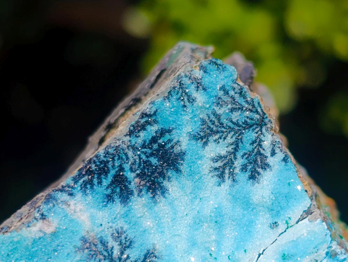 Natural Striking Black Heterogenite Dendrites on Drusy Coated Chrysocolla x 1 From Lupoto Mine, Congo