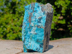 Natural Striking Black Heterogenite Dendrites on Drusy Coated Chrysocolla x 1 From Lupoto Mine, Congo