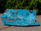 Natural Striking Black Heterogenite Dendrites on Drusy Coated Chrysocolla x 1 From Lupoto Mine, Congo