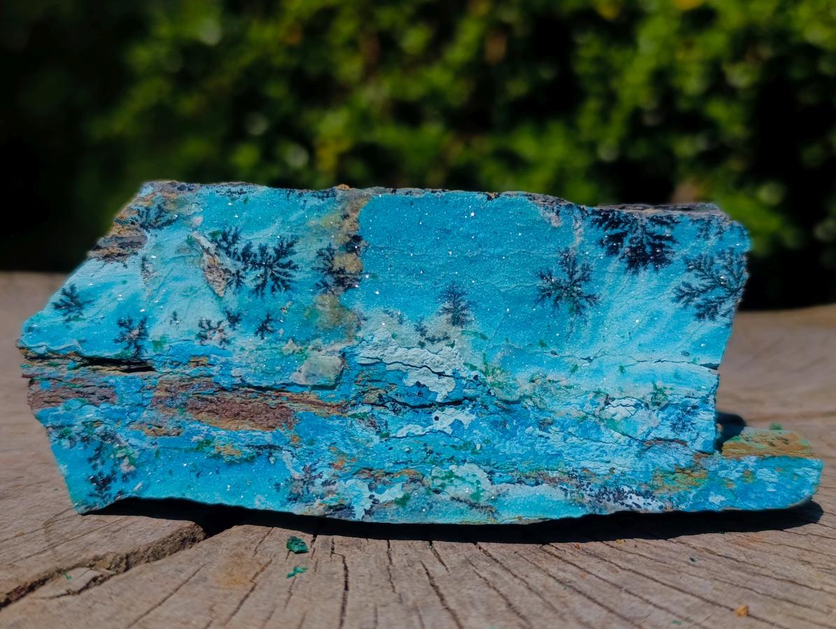 Natural Striking Black Heterogenite Dendrites on Drusy Coated Chrysocolla x 1 From Lupoto Mine, Congo