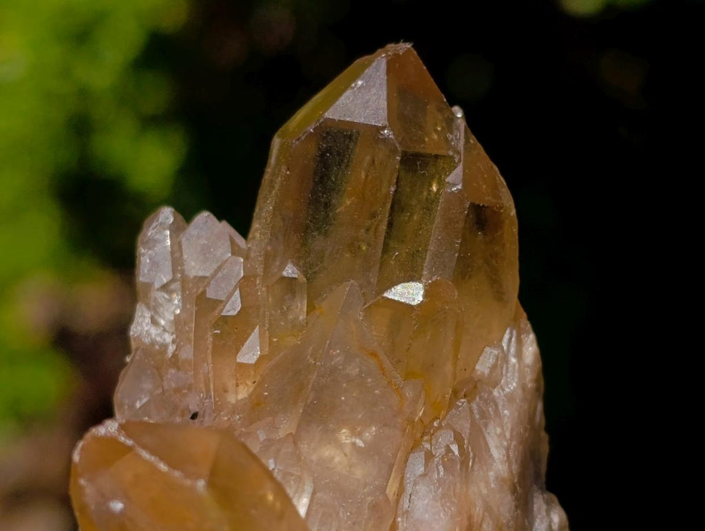 Natural Mixed Set of 12 African Minerals and Crystals in a Wooden Display Box x 1 From Southern Africa