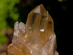 Natural Mixed Set of 12 African Minerals and Crystals in a Wooden Display Box x 1 From Southern Africa