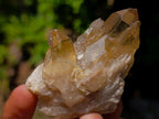 Natural Mixed Set of 12 African Minerals and Crystals in a Wooden Display Box x 1 From Southern Africa