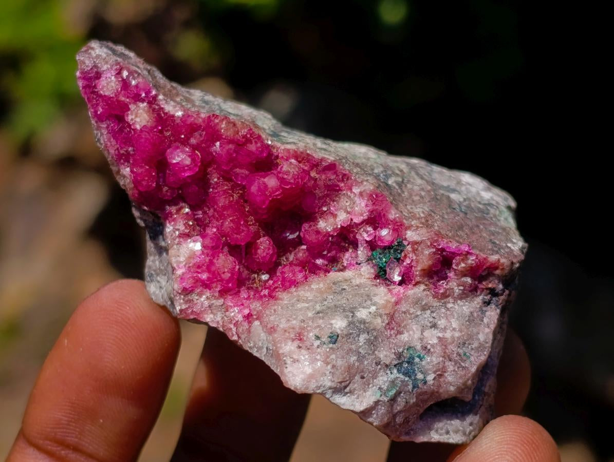 Natural Mixed Set of 12 African Minerals and Crystals in a Wooden Display Box x 1 From Southern Africa