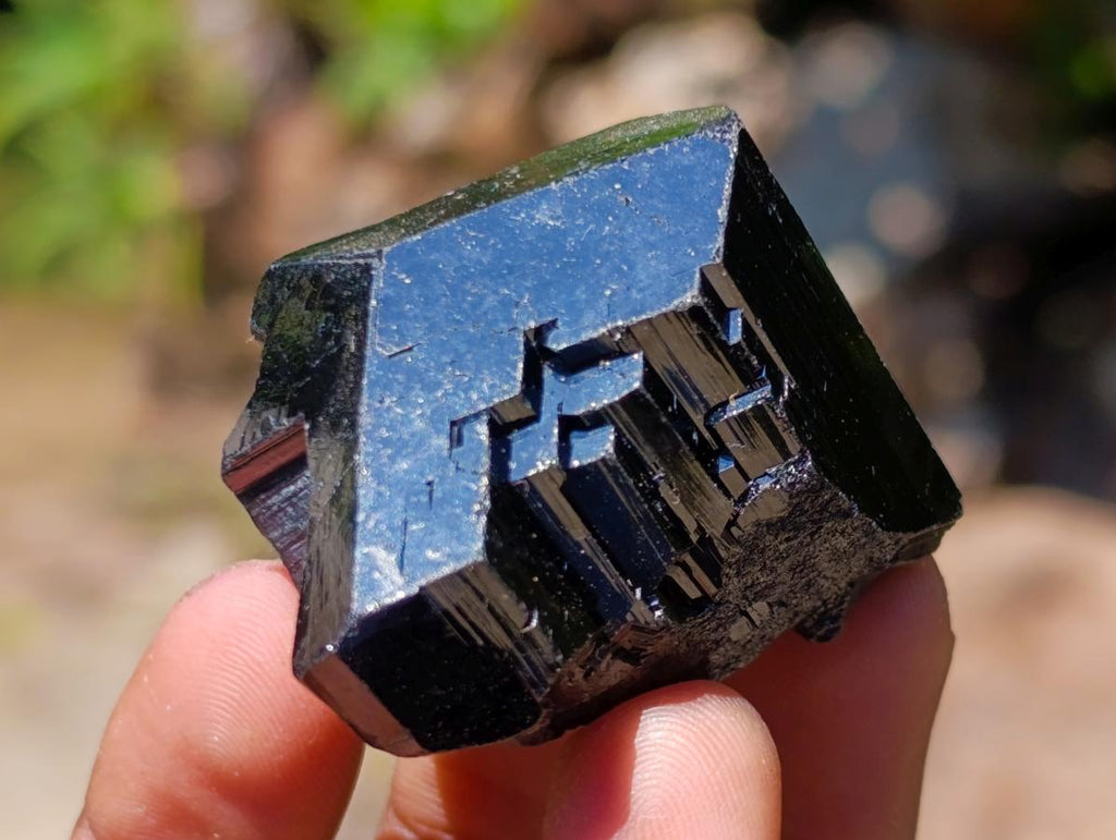 Natural Mixed Set of 12 African Minerals and Crystals in a Wooden Display Box x 1 From Southern Africa