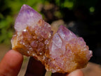 Natural Mixed Set of 12 African Minerals and Crystals in a Wooden Display Box x 1 From Southern Africa