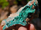 Natural Mixed Set of 12 African Minerals and Crystals in a Wooden Display Box x 1 From Southern Africa