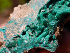 Natural Mixed Set of 12 African Minerals and Crystals in a Wooden Display Box x 1 From Southern Africa