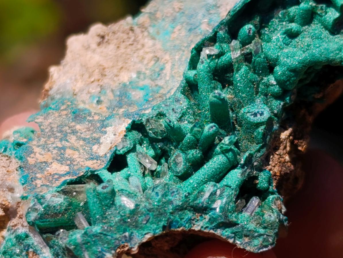 Natural Mixed Set of 12 African Minerals and Crystals in a Wooden Display Box x 1 From Southern Africa