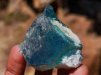 Natural Mixed Set of 12 African Minerals and Crystals in a Wooden Display Box x 1 From Southern Africa