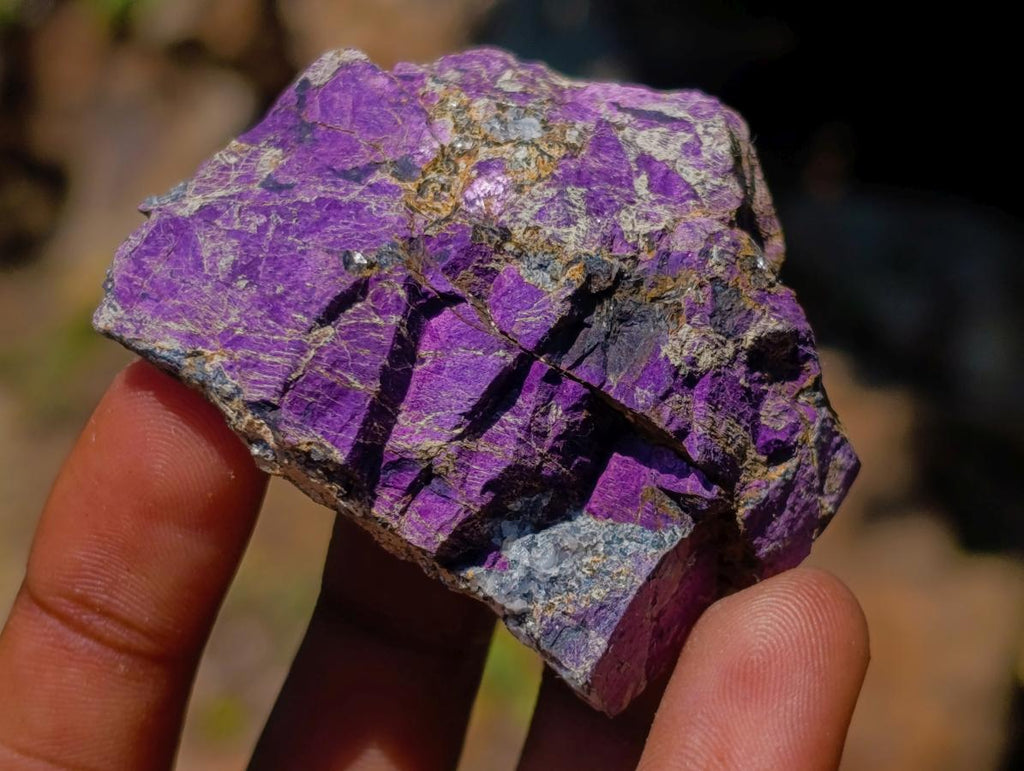 Natural Mixed Set of 12 African Minerals and Crystals in a Wooden Display Box x 1 From Southern Africa