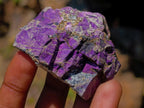 Natural Mixed Set of 12 African Minerals and Crystals in a Wooden Display Box x 1 From Southern Africa