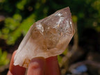 Natural Mixed Set of 12 African Minerals and Crystals in a Wooden Display Box x 1 From Southern Africa