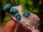 Natural Mixed Set of 12 African Minerals and Crystals in a Wooden Display Box x 1 From Southern Africa