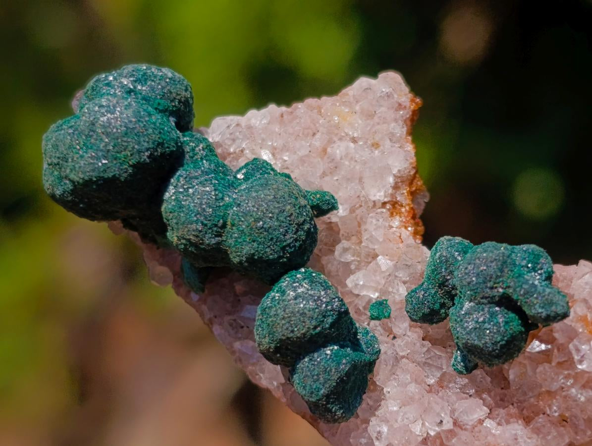 Natural Mixed Set of 12 African Minerals and Crystals in a Wooden Display Box x 1 From Southern Africa