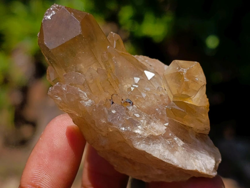 Natural Mixed Set of 12 African Minerals and Crystals in a Wooden Display Box x 1 From Southern Africa