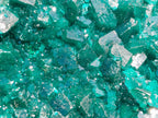 Natural Emerald Green Crystal Plate Dioptase Specimen x 1 From Tiantara, Congo
