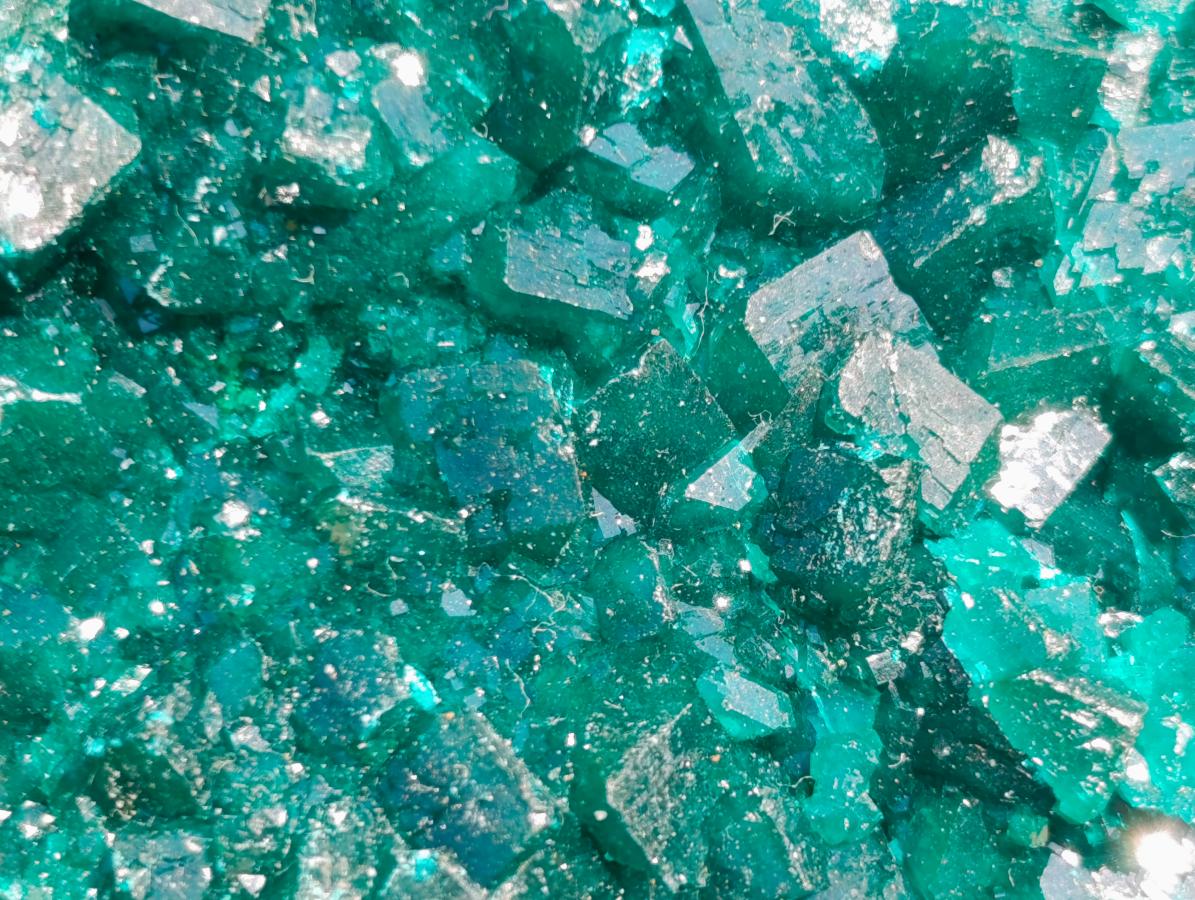 Natural Emerald Green Crystal Plate Dioptase Specimen x 1 From Tiantara, Congo
