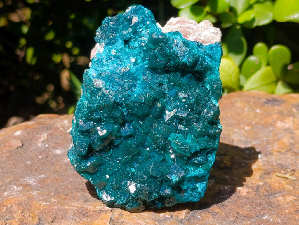 Natural Emerald Green Crystal Plate Dioptase Specimen x 1 From Tiantara, Congo