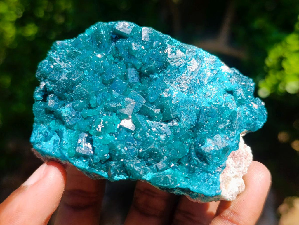 Natural Emerald Green Crystal Plate Dioptase Specimen x 1 From Tiantara, Congo