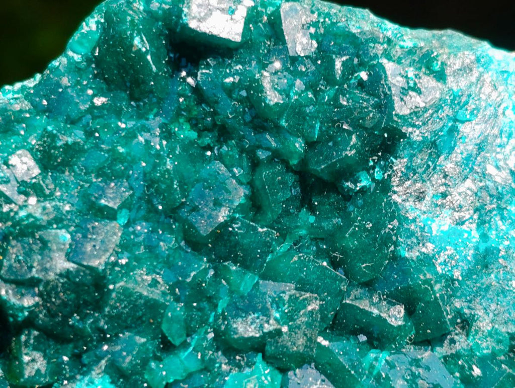 Natural Emerald Green Crystal Plate Dioptase Specimen x 1 From Tiantara, Congo
