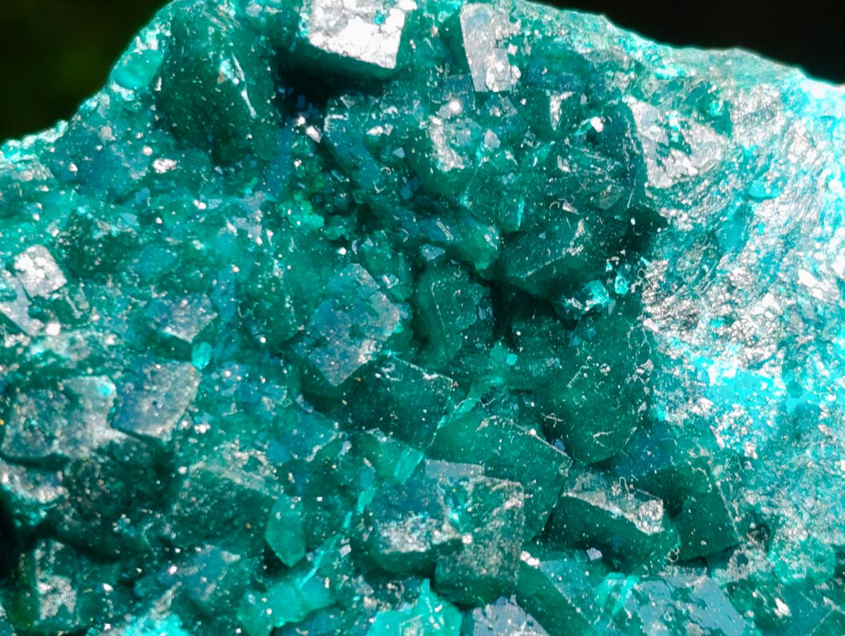 Natural Emerald Green Crystal Plate Dioptase Specimen x 1 From Tiantara, Congo