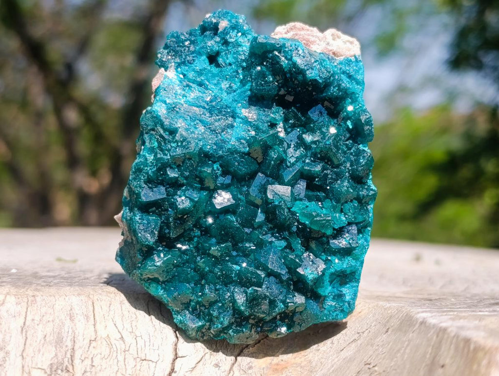Natural Emerald Green Crystal Plate Dioptase Specimen x 1 From Tiantara, Congo