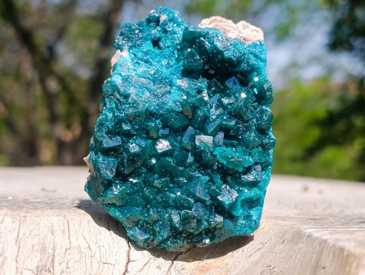 Natural Emerald Green Crystal Plate Dioptase Specimen x 1 From Tiantara, Congo