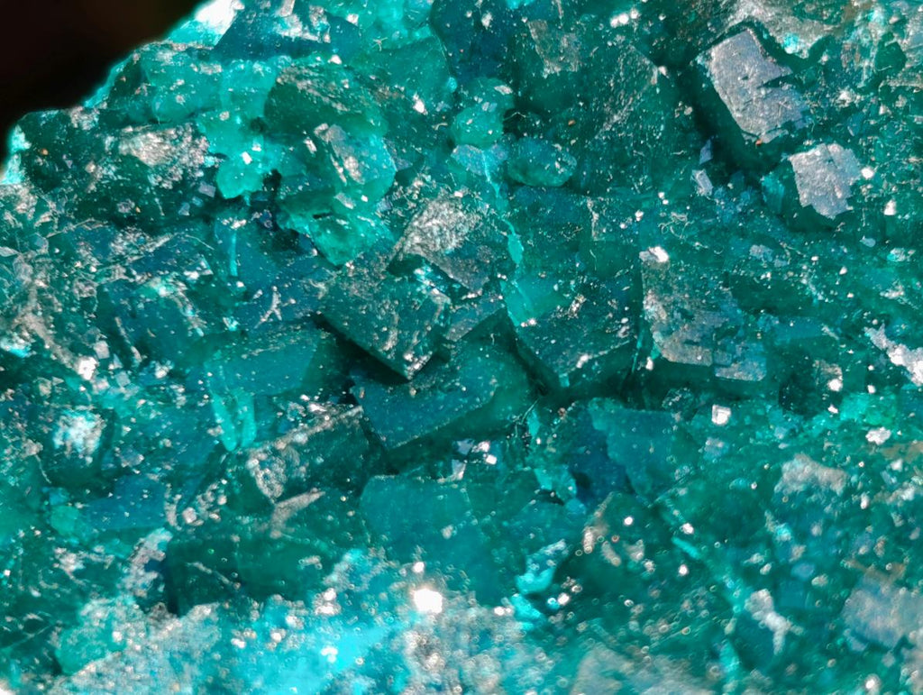 Natural Emerald Green Crystal Plate Dioptase Specimen x 1 From Tiantara, Congo