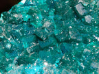 Natural Emerald Green Crystal Plate Dioptase Specimen x 1 From Tiantara, Congo