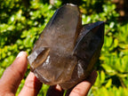 Natural Twin Smokey Quartz Crystal Cluster with Fluorescent Hyalite Opal x 1 From Erongo, Namibia