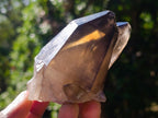 Natural Twin Smokey Quartz Crystal Cluster with Fluorescent Hyalite Opal x 1 From Erongo, Namibia