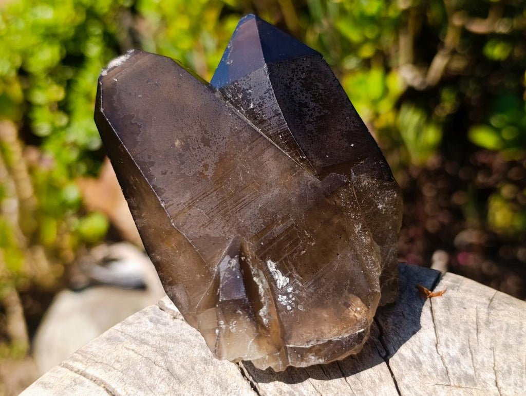 Natural Twin Smokey Quartz Crystal Cluster with Fluorescent Hyalite Opal x 1 From Erongo, Namibia