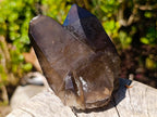 Natural Twin Smokey Quartz Crystal Cluster with Fluorescent Hyalite Opal x 1 From Erongo, Namibia