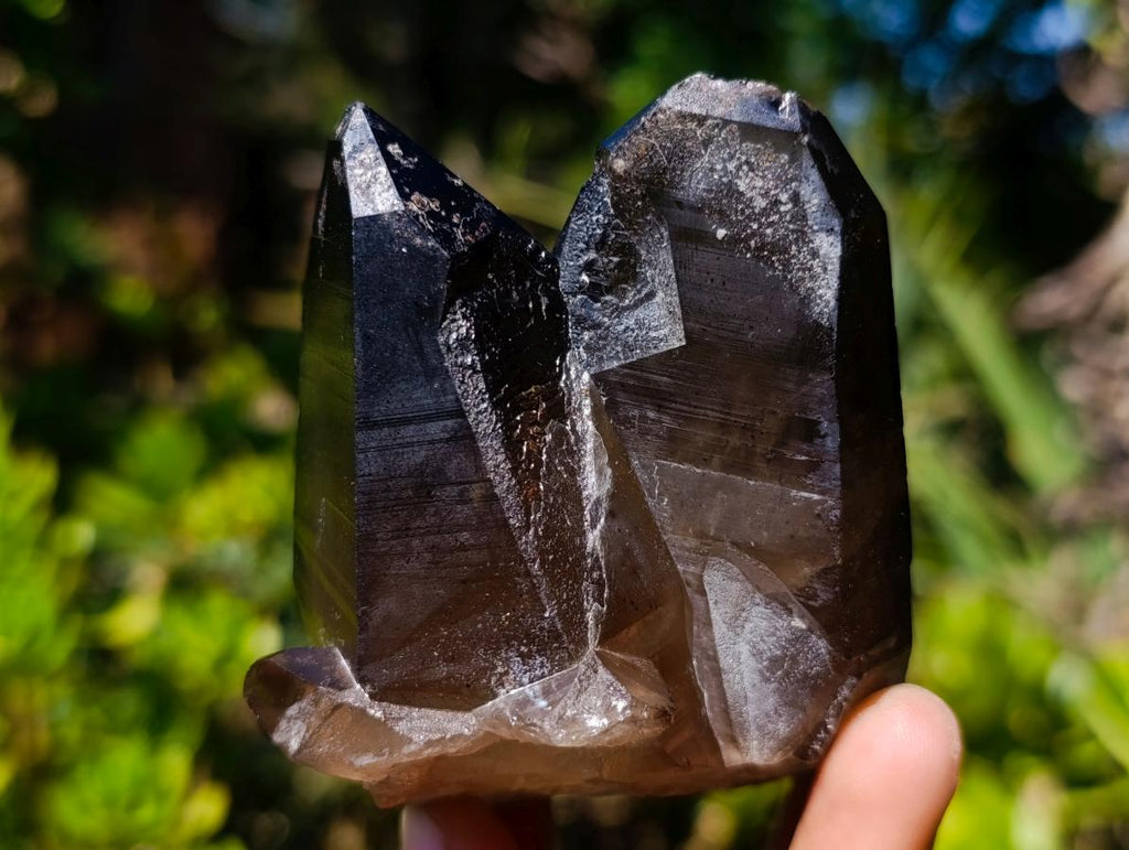Natural Twin Smokey Quartz Crystal Cluster with Fluorescent Hyalite Opal x 1 From Erongo, Namibia