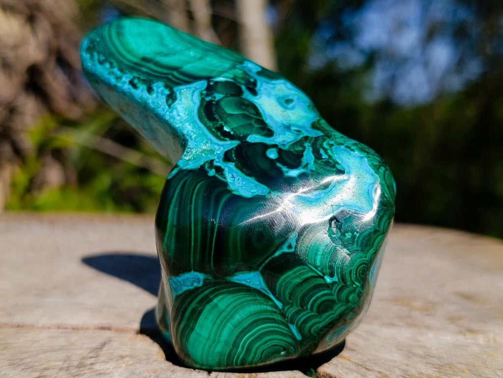 Polished Malacolla Display Free Form x 1 From Kulukuluku, Congo