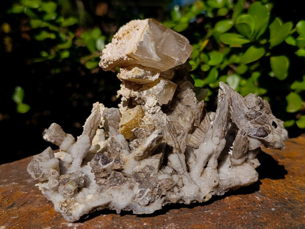 Natural Fluorescent Sceptre Quartz Coated Spearhead Calcite Pseudomorph Cluster x 1 From Albert's Mountain, Lesotho