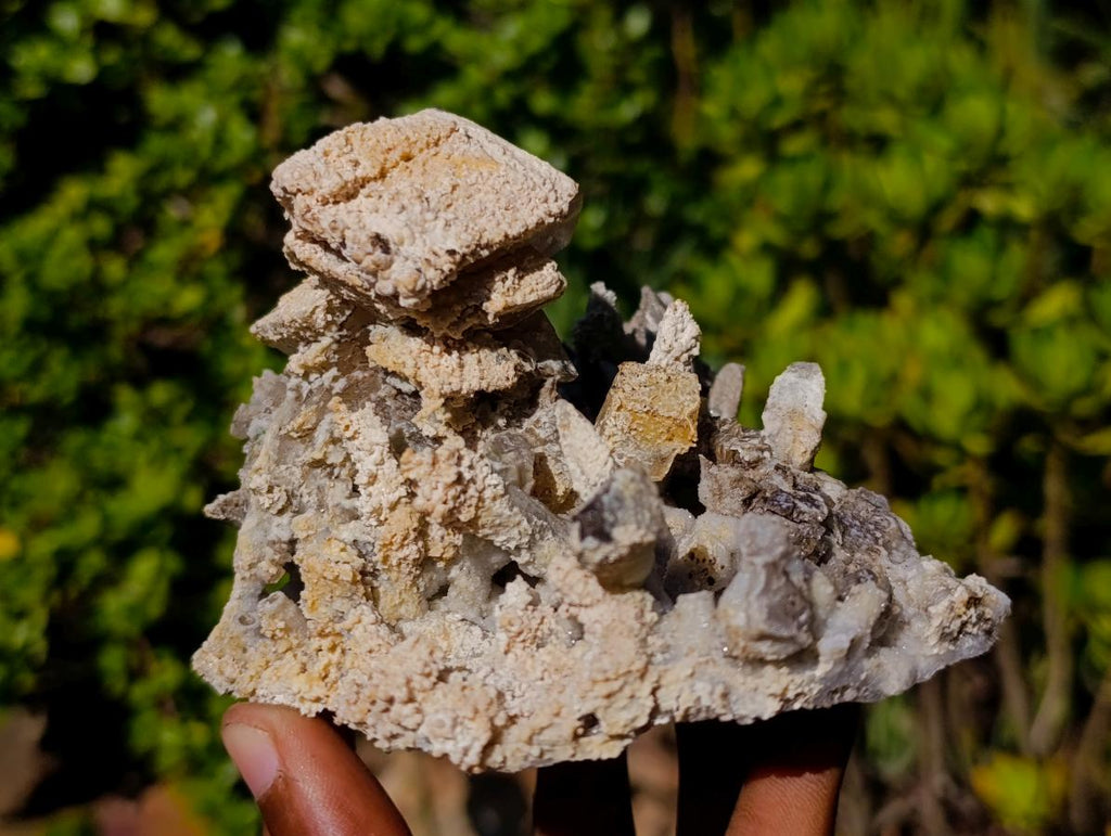 Natural Fluorescent Sceptre Quartz Coated Spearhead Calcite Pseudomorph Cluster x 1 From Albert's Mountain, Lesotho