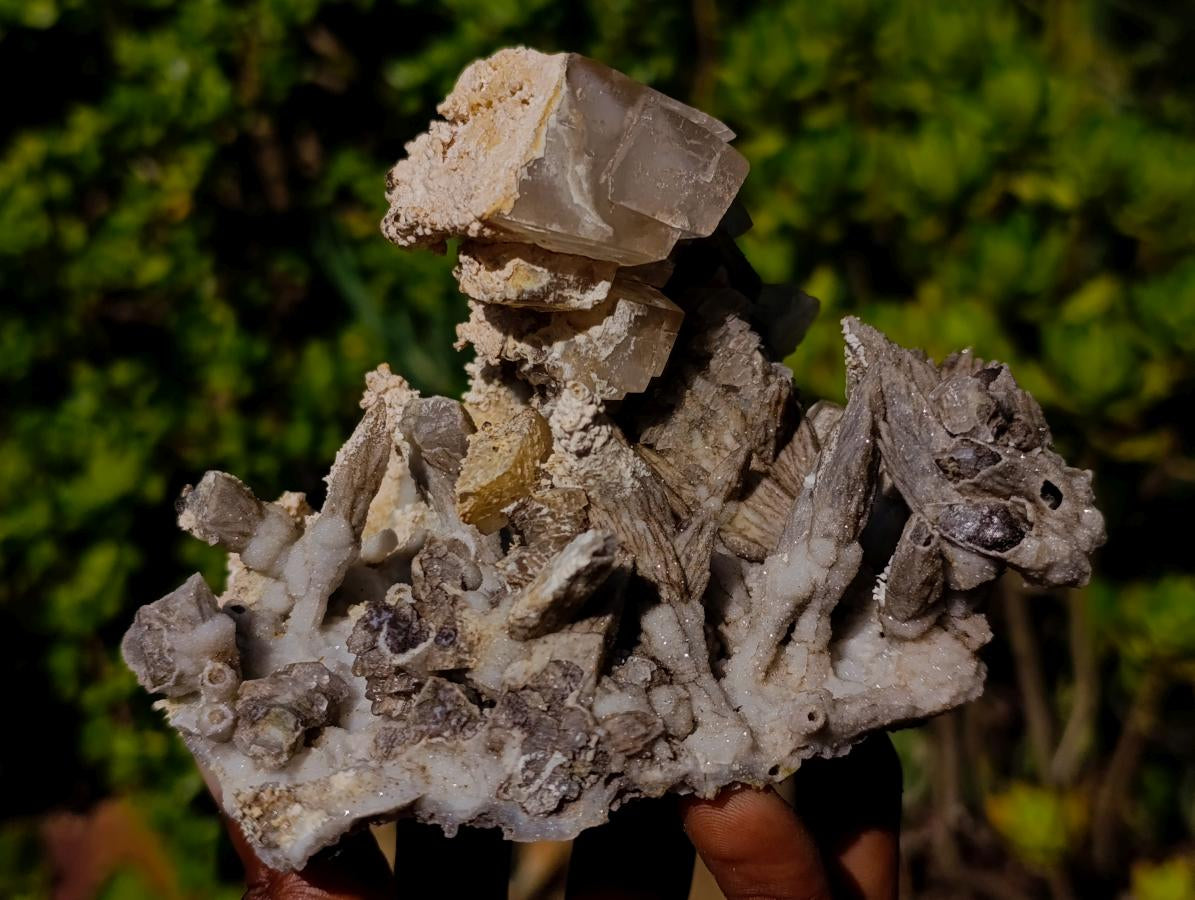 Natural Fluorescent Sceptre Quartz Coated Spearhead Calcite Pseudomorph Cluster x 1 From Albert's Mountain, Lesotho